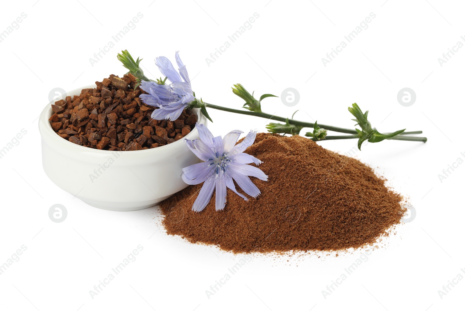 Photo of Chicory granules, powder and flowers on white background