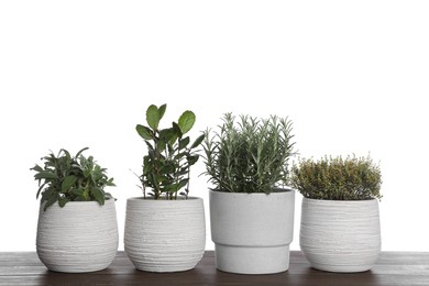 Photo of Pots with thyme, bay, sage and rosemary on wooden table against white background