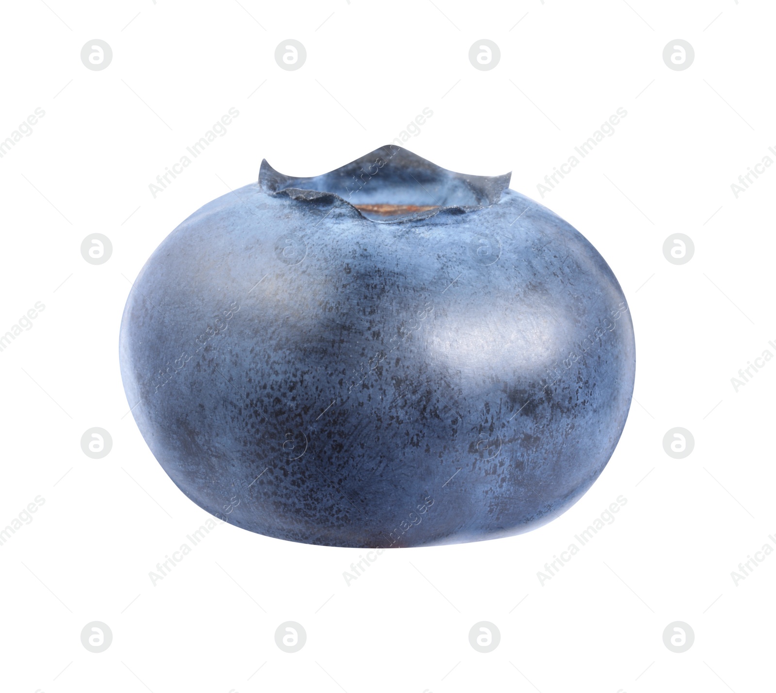 Photo of One fresh ripe blueberry isolated on white