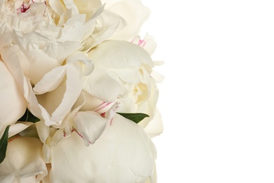 Photo of Beautiful fresh peony flowers on white background, closeup