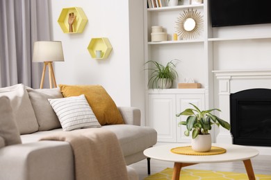 Spring atmosphere. Soft sofa, lamp and shelves with stylish accessories in room