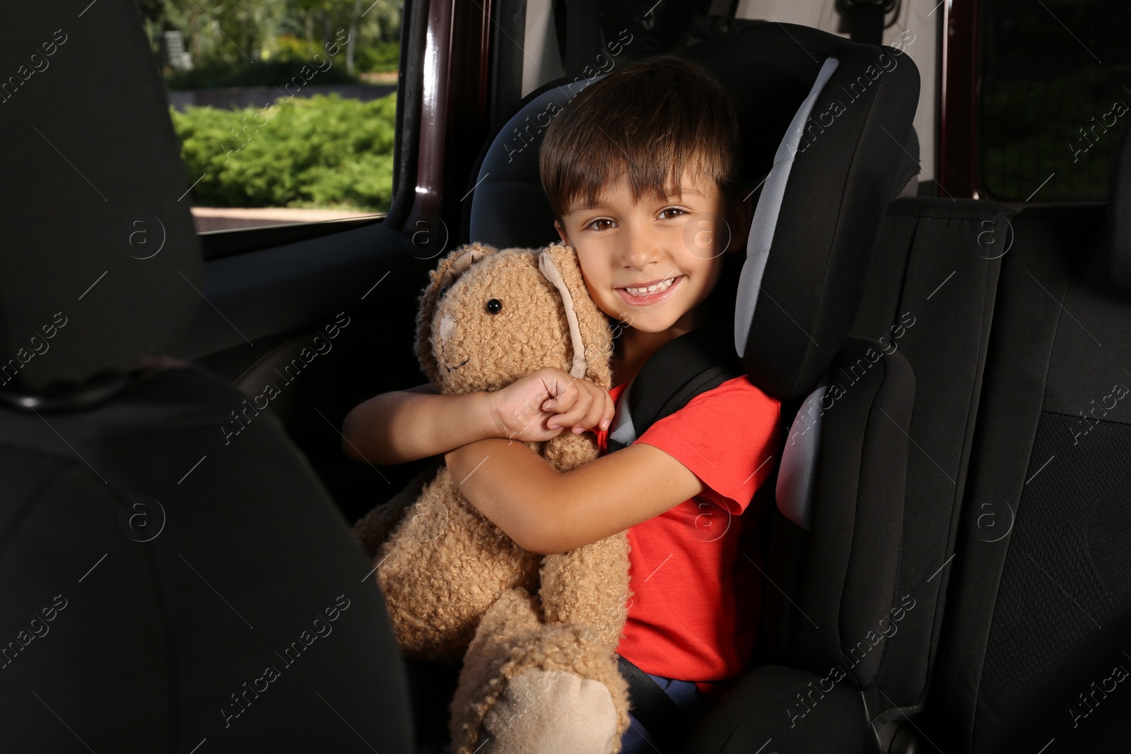 Photo of Little boy fastened with car safety belt in child seat holding toy bunny