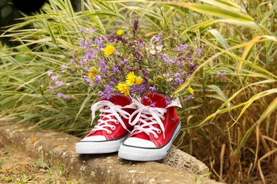Photo of Red shoes with beautiful wild flowers in park