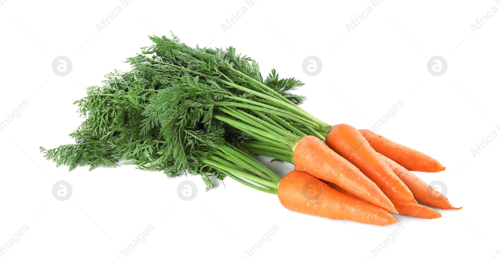 Photo of Bunch of fresh ripe carrots isolated on white