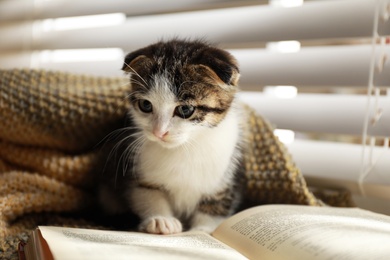 Photo of Adorable little kitten and book near window indoors