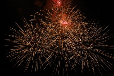 Photo of Beautiful fireworks lighting up night sky outdoors