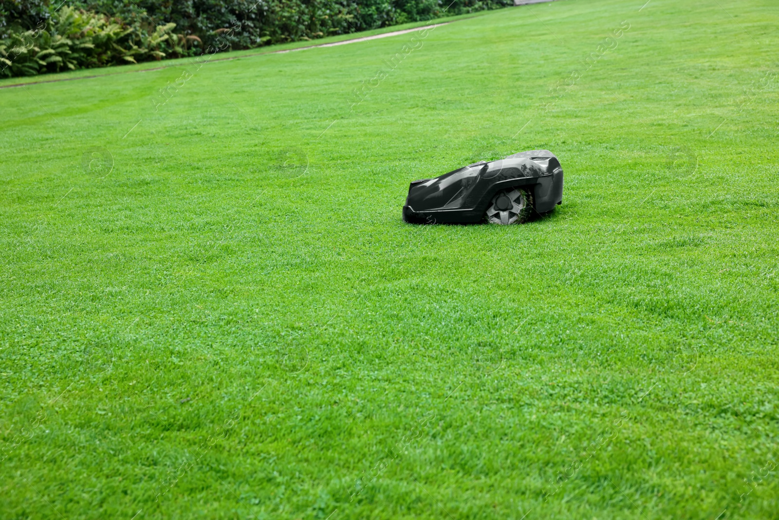 Photo of Modern lawn mower on green grass outdoors. Space for text