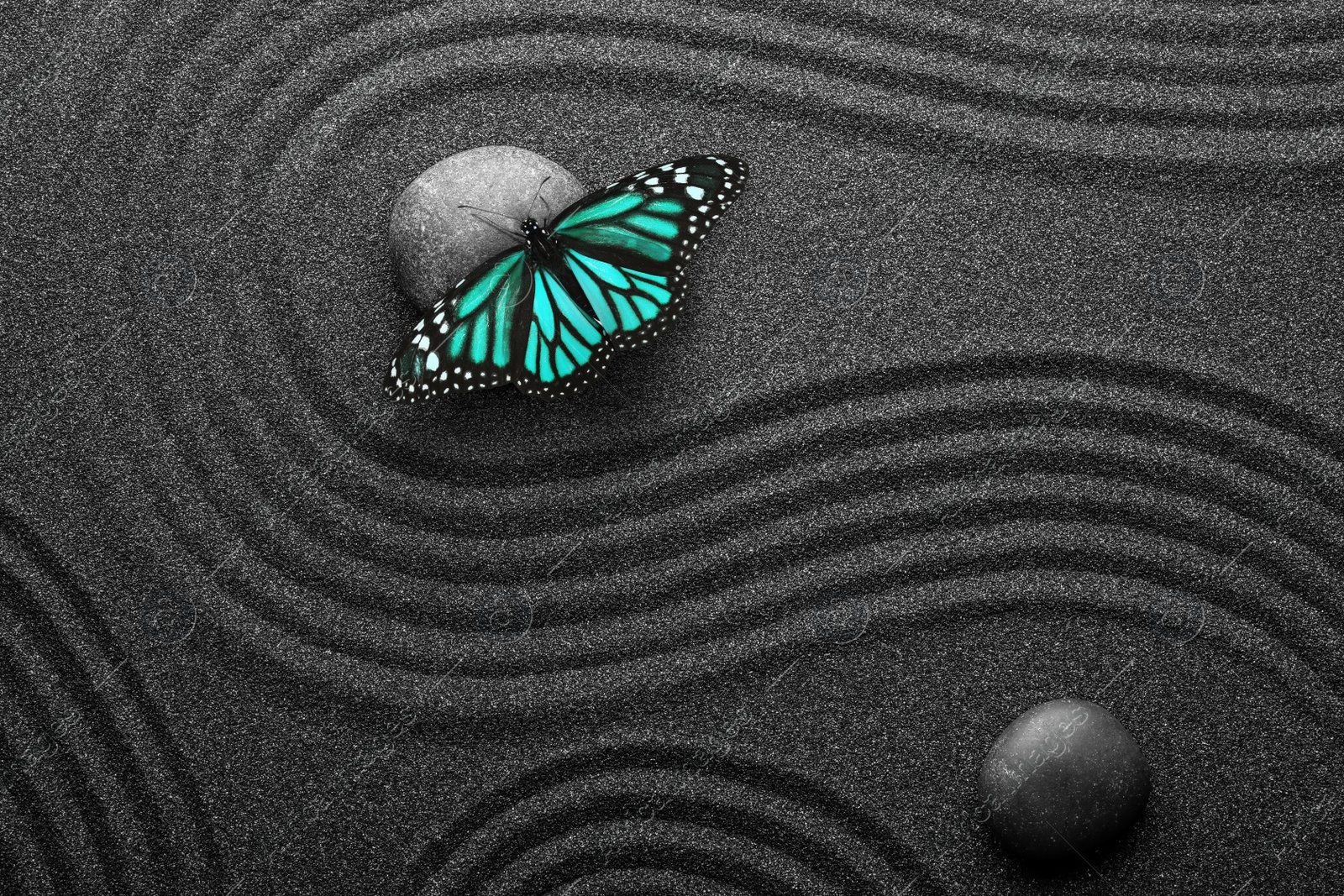 Image of Beautiful butterfly and stones on black sand with pattern, flat lay. Zen concept