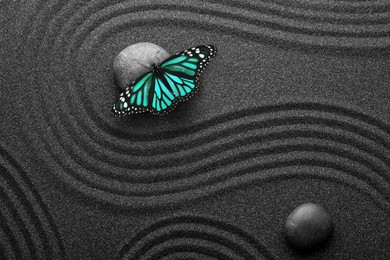 Image of Beautiful butterfly and stones on black sand with pattern, flat lay. Zen concept