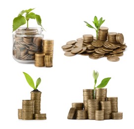 Image of Set with jar, coins and growing plants on white background. Successful investment