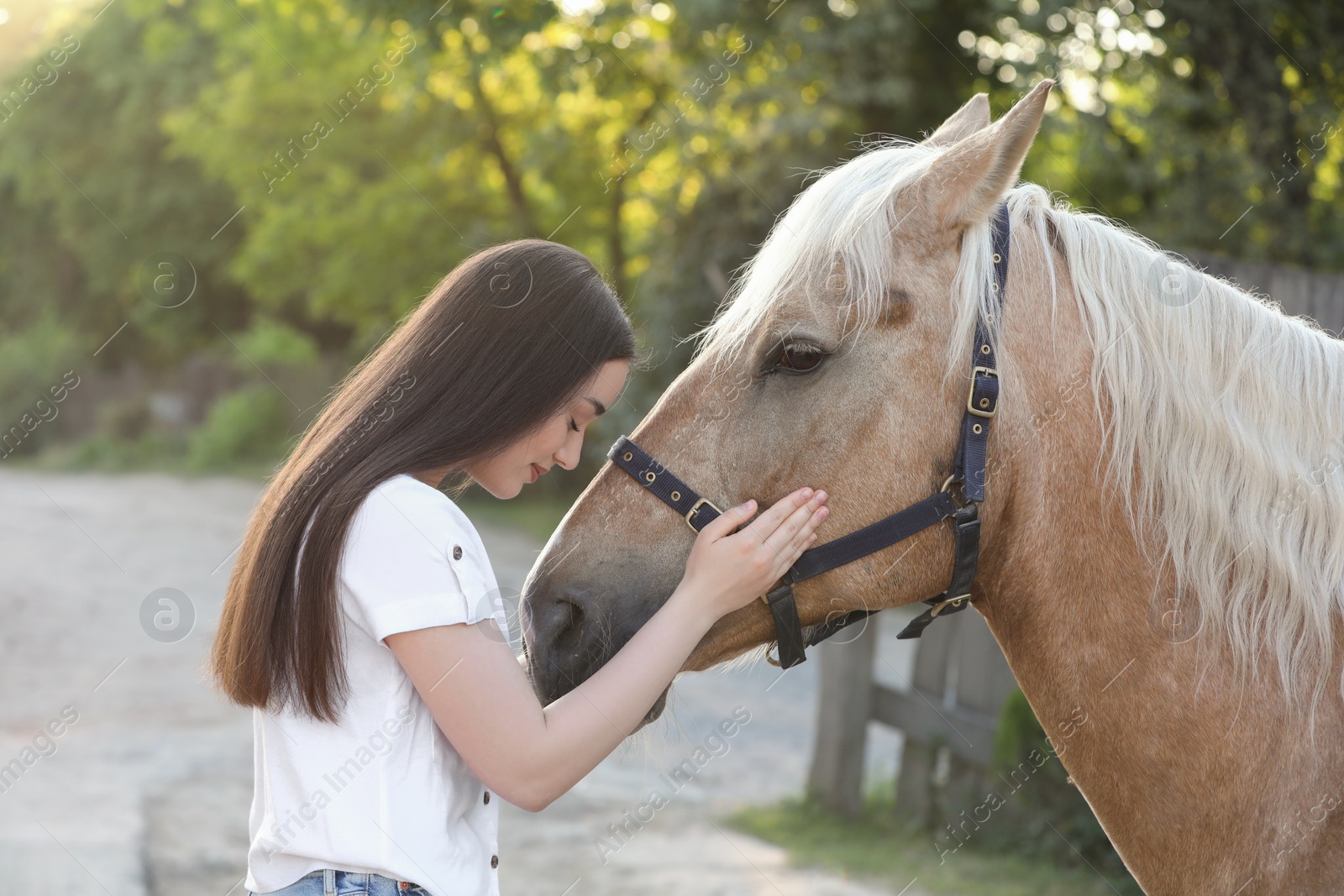 Photo of Beautiful woman with adorable horse outdoors. Lovely domesticated pet