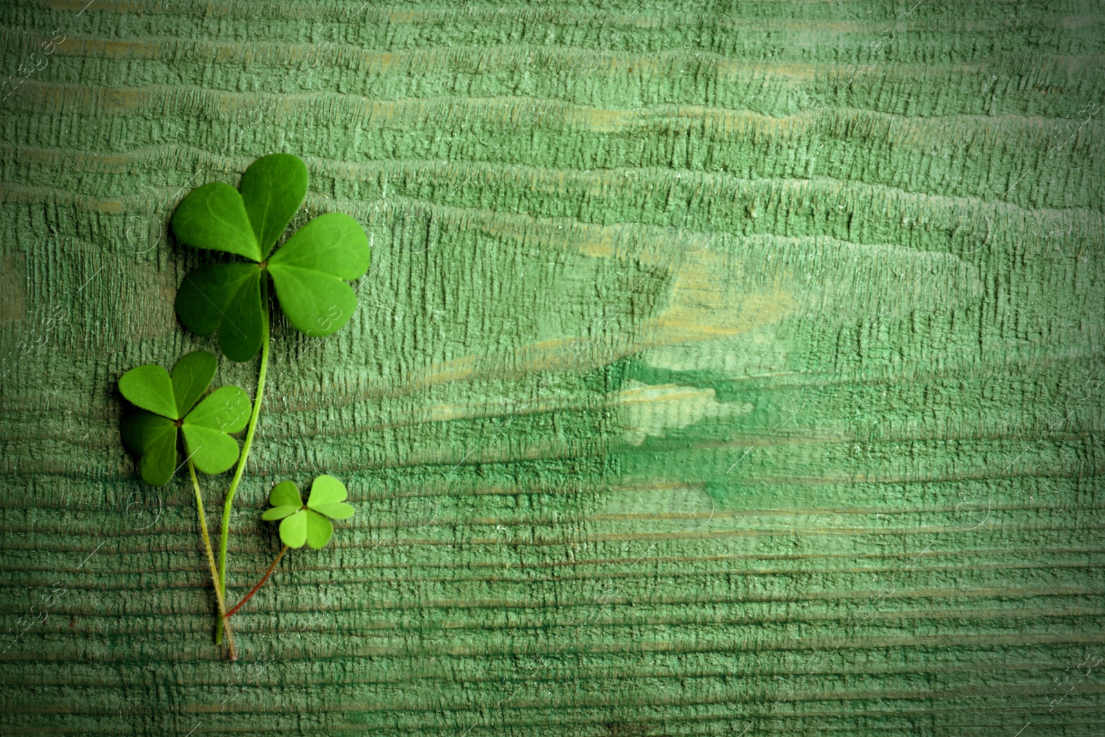 Image of Clover leaves on green wooden table, flat lay with space for text. St. Patrick's Day symbol