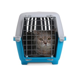 Photo of Travel with pet. Cute cat in carrier on white background