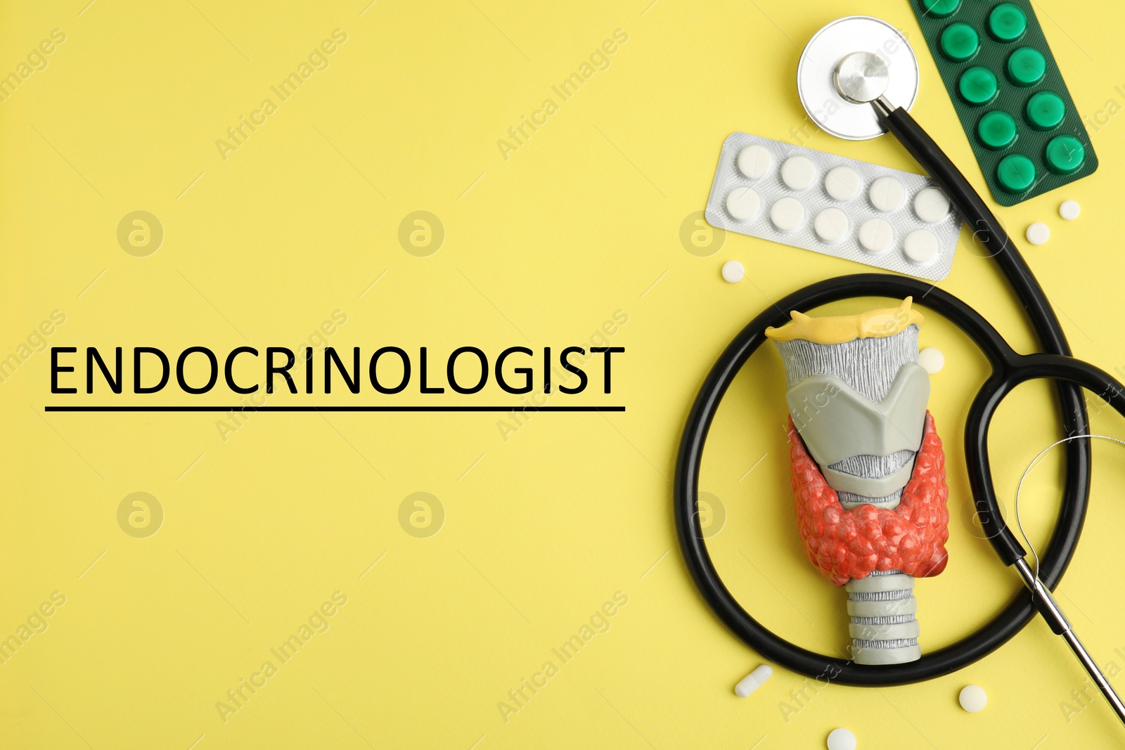 Image of Endocrinologist. Model of thyroid gland, stethoscope and pills on yellow background, flat lay