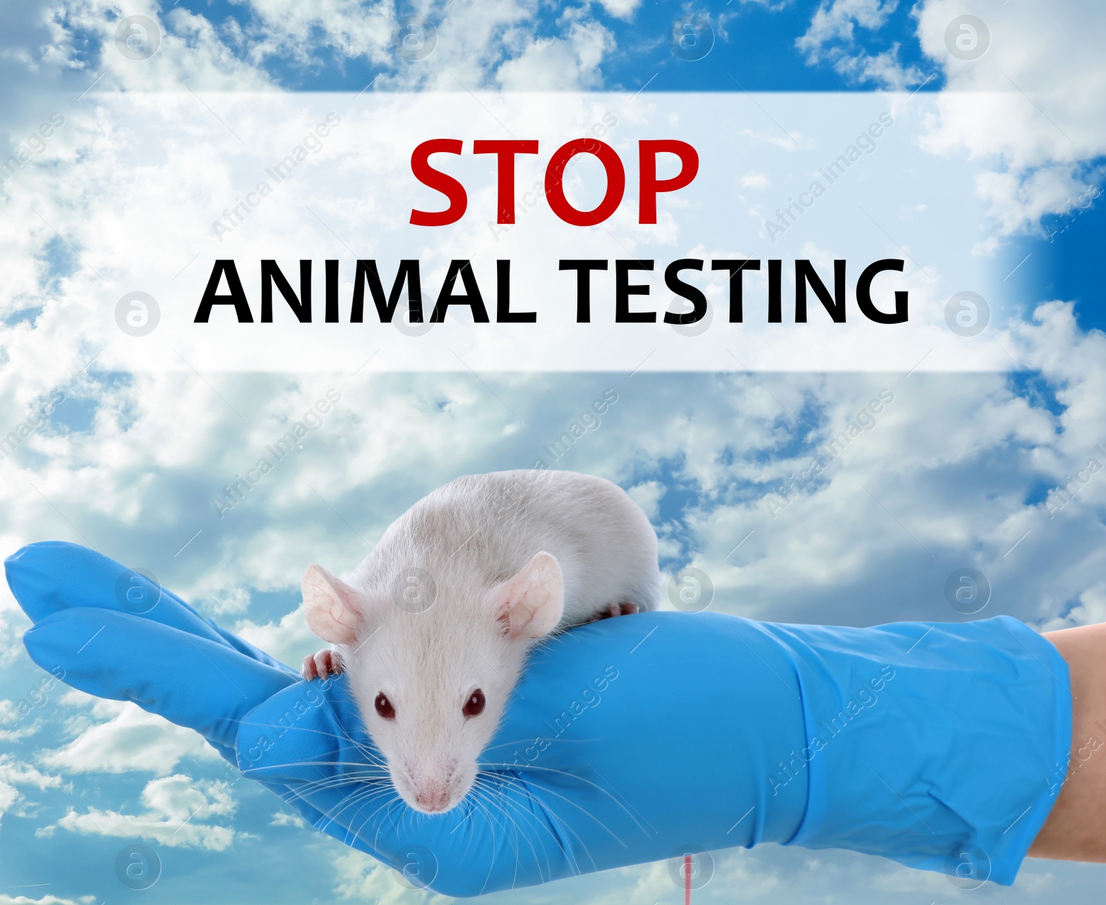 Image of STOP ANIMAL TESTING. Scientist holding rat against blue sky, closeup 