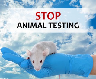 Image of STOP ANIMAL TESTING. Scientist holding rat against blue sky, closeup 