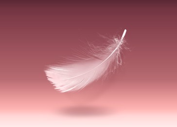 Image of Fluffy bird feather falling on color background
