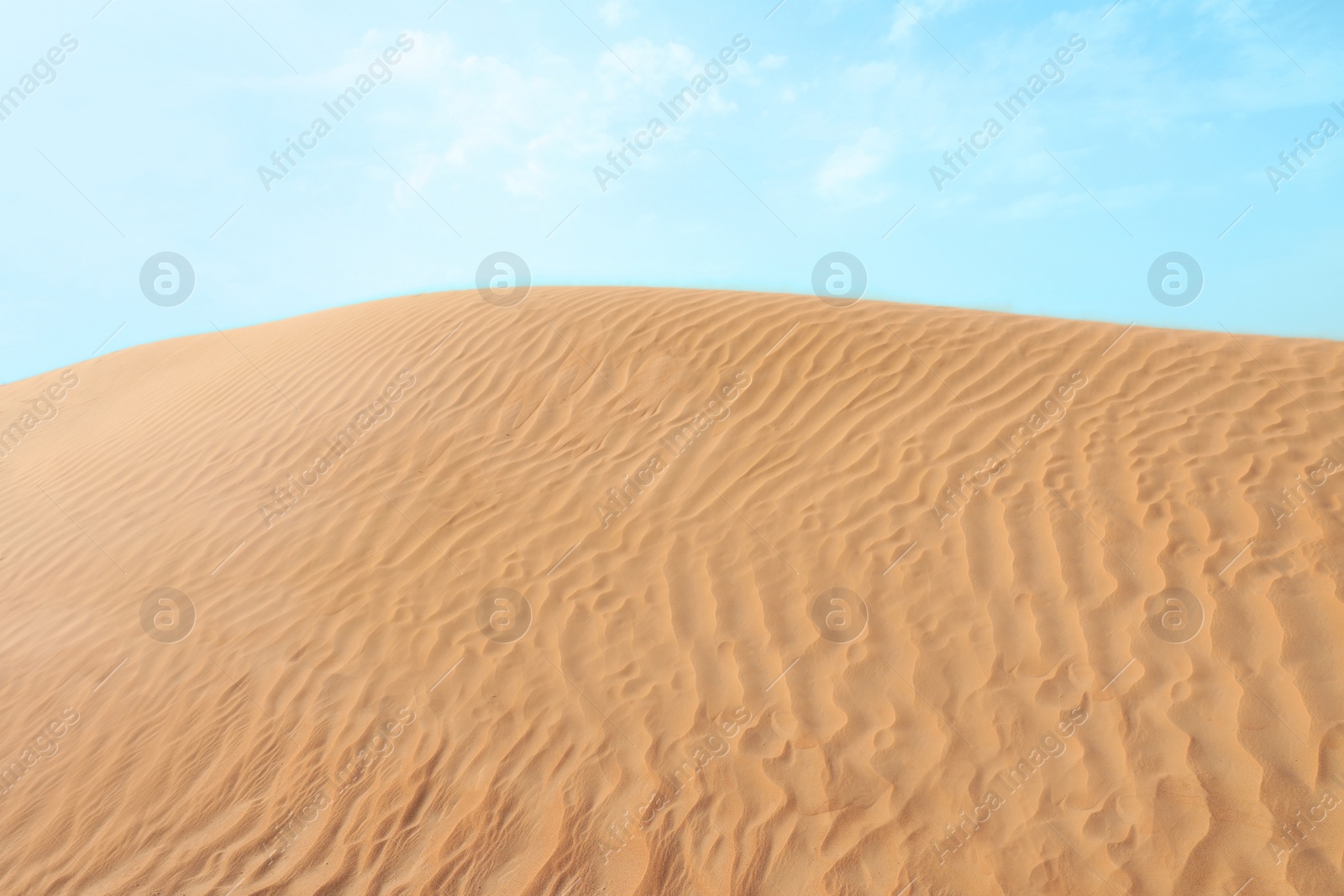 Photo of Picturesque landscape of sandy desert on hot day