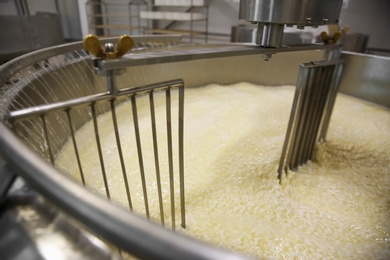 Adding water to curd and whey in tank at cheese factory, closeup