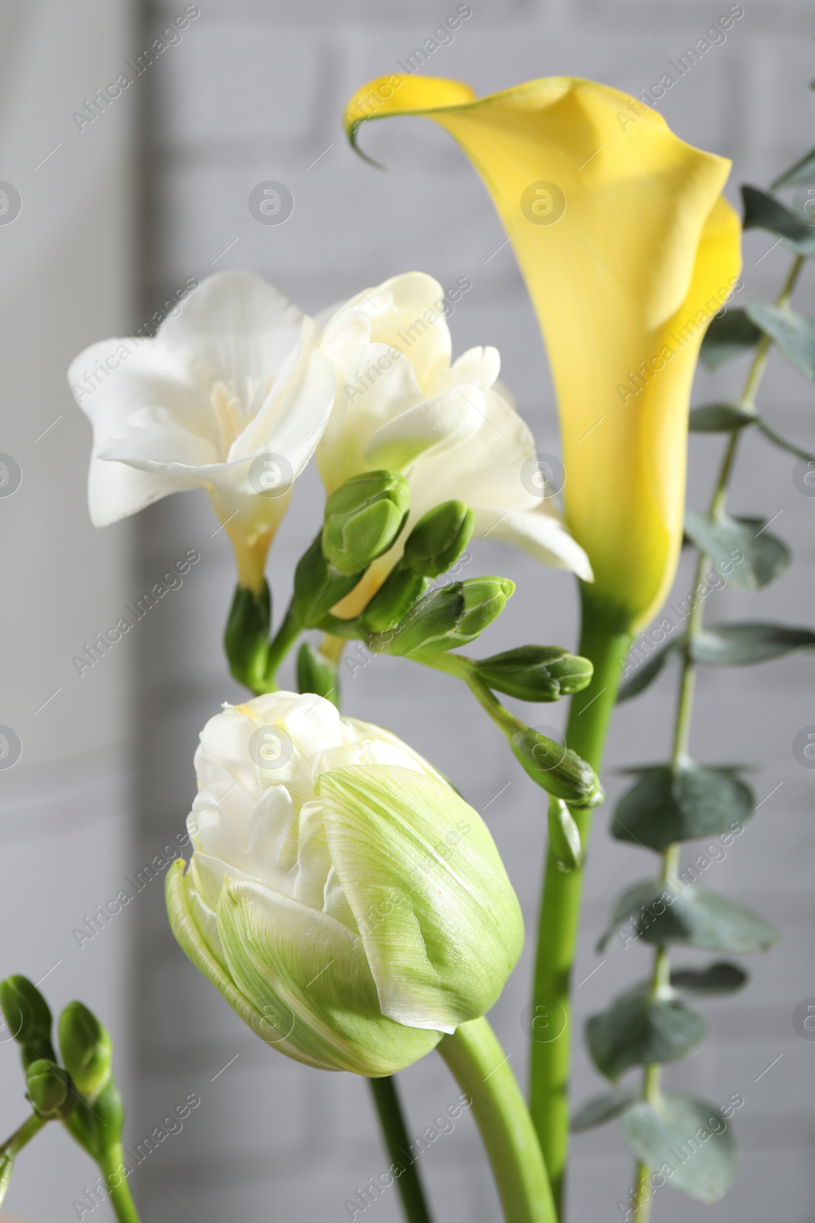 Photo of Beautiful ikebana for stylish house decor. Floral composition with fresh flowers and eucalyptus branch on blurred background, closeup