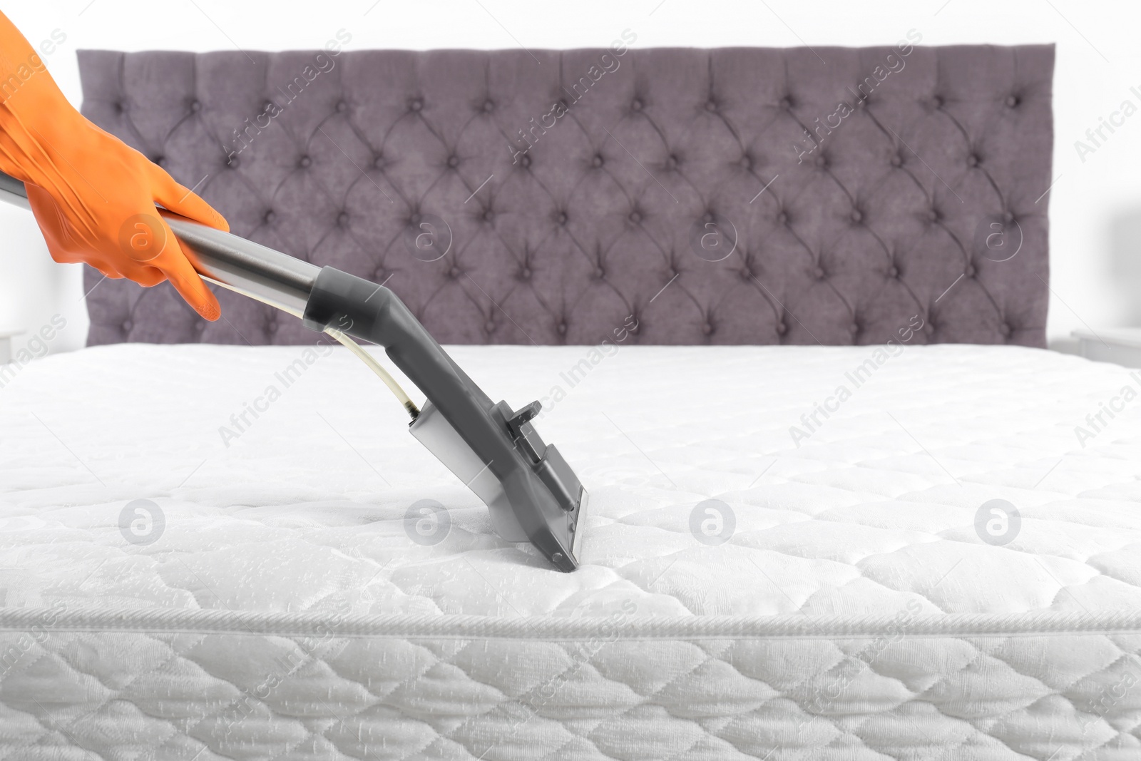 Photo of Person disinfecting mattress with vacuum cleaner, closeup. Space for text