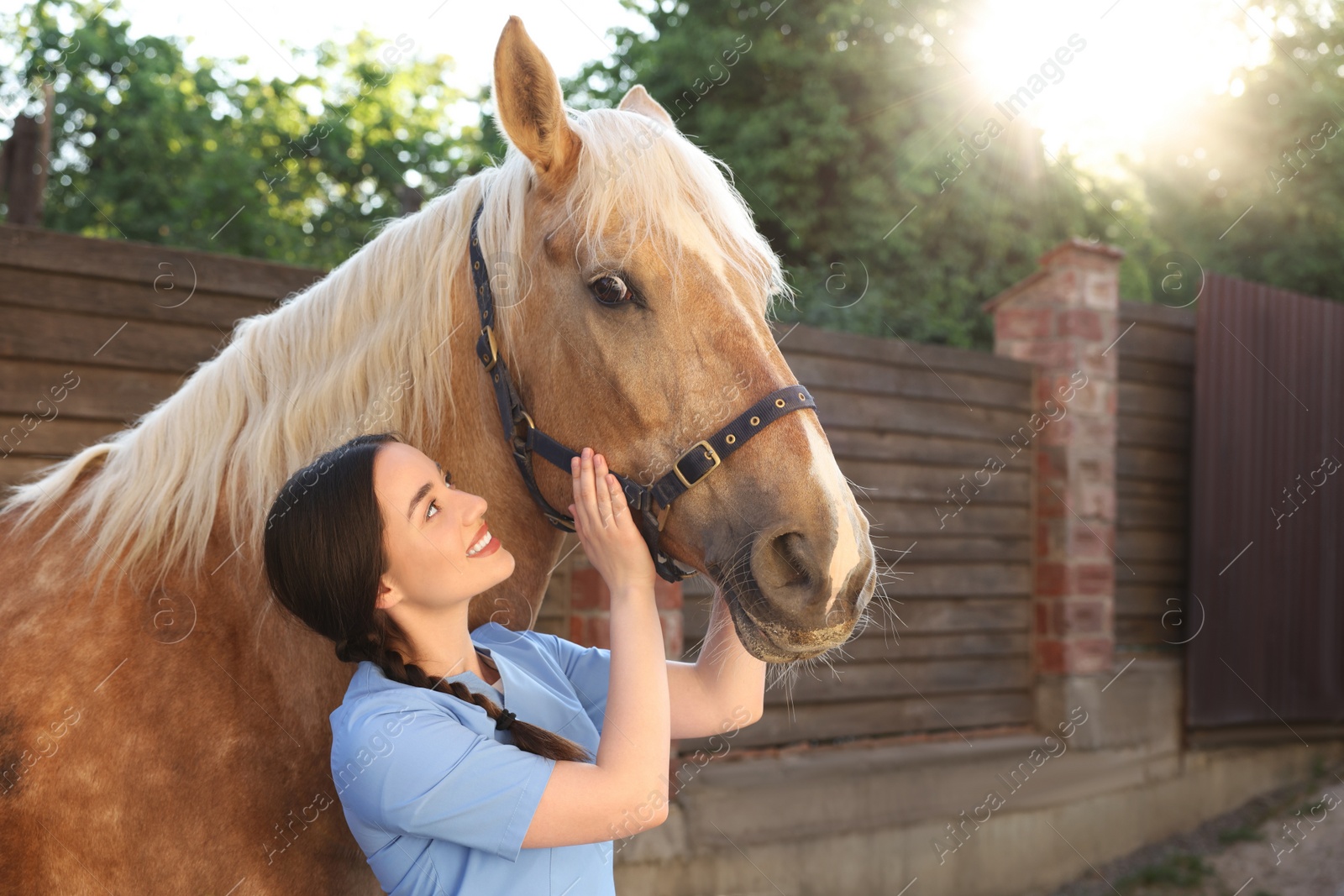 Photo of Veterinarian with adorable horse outdoors. Pet care