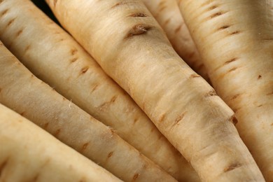 Many fresh ripe parsnips as background, closeup