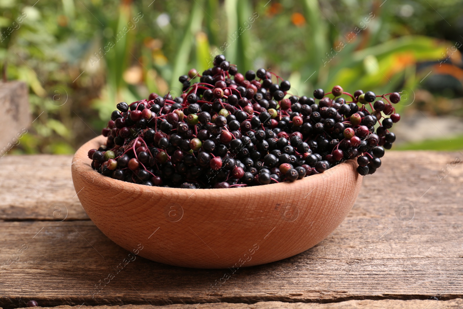 Photo of Bowl with tasty elderberries (Sambucus) on wooden table outdoors, closeup