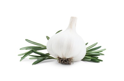 Fresh garlic bulb and rosemary isolated on white