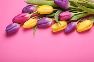 Beautiful tulips on pink background, flat lay. Space for text