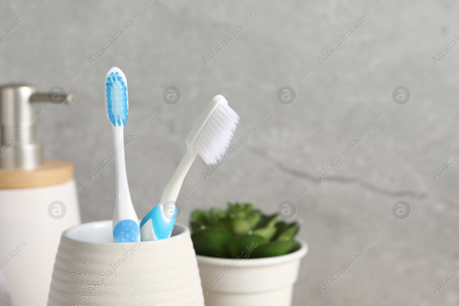 Photo of Plastic toothbrushes in holder on grey background, closeup. Space for text