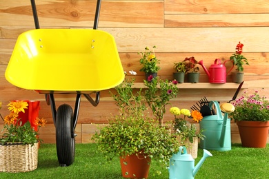 Wheelbarrow with gardening tools and flowers near wooden wall