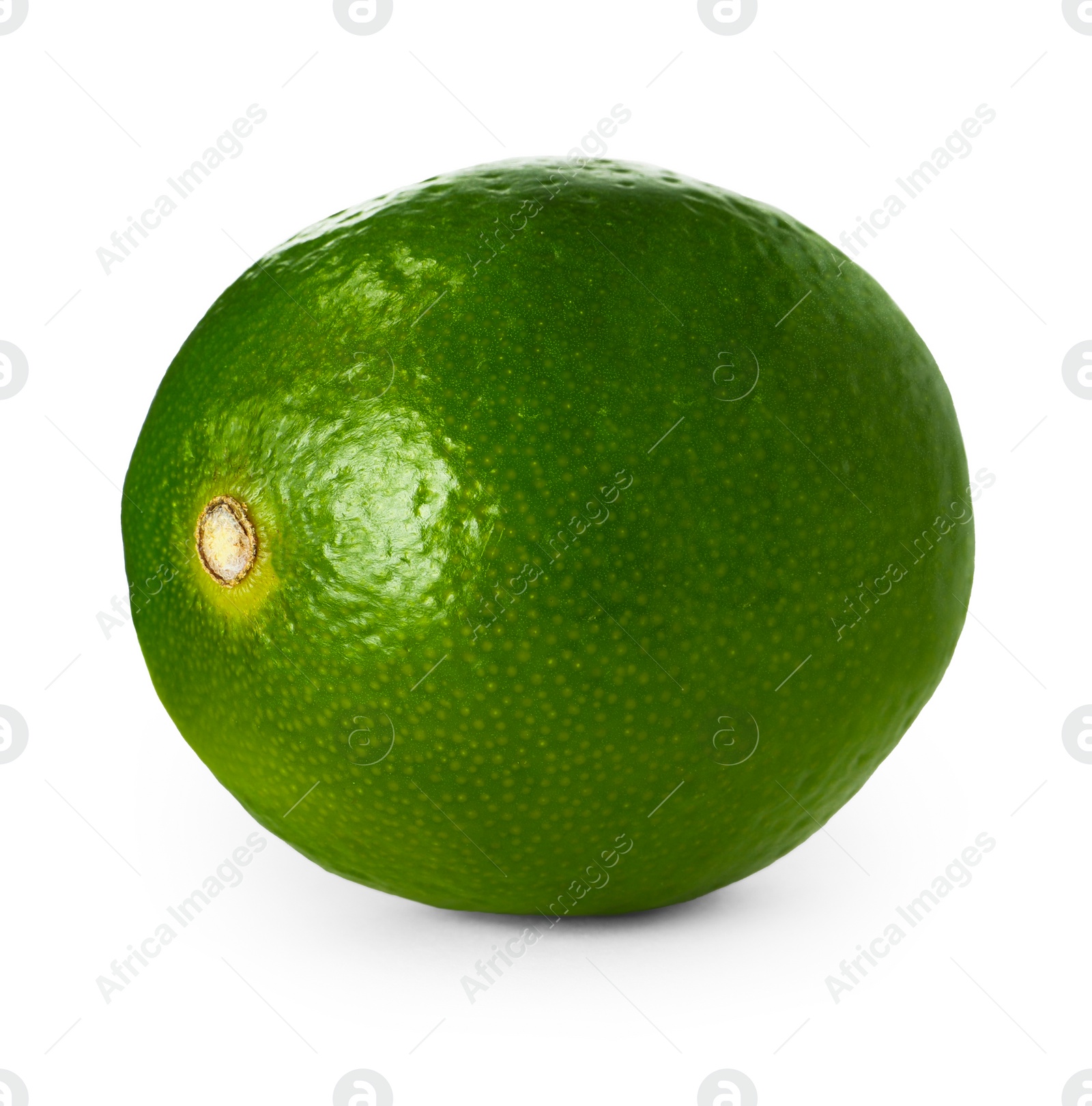 Photo of Fresh green ripe lime isolated on white