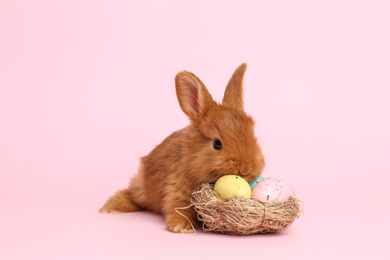 Adorable fluffy bunny and decorative nest with Easter eggs on pink background