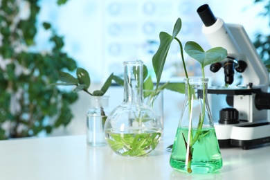 Plants in laboratory glassware and microscope on table, space for text. Biological chemistry