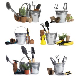 Image of Set of different gardening tools on white background