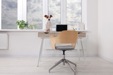 Photo of Cute Jack Russell Terrier dog on home desk in office