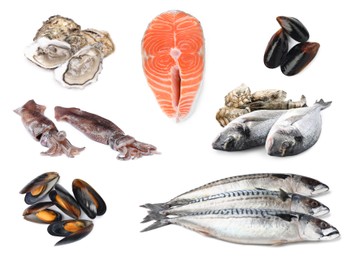 Collage with different seafood on white background