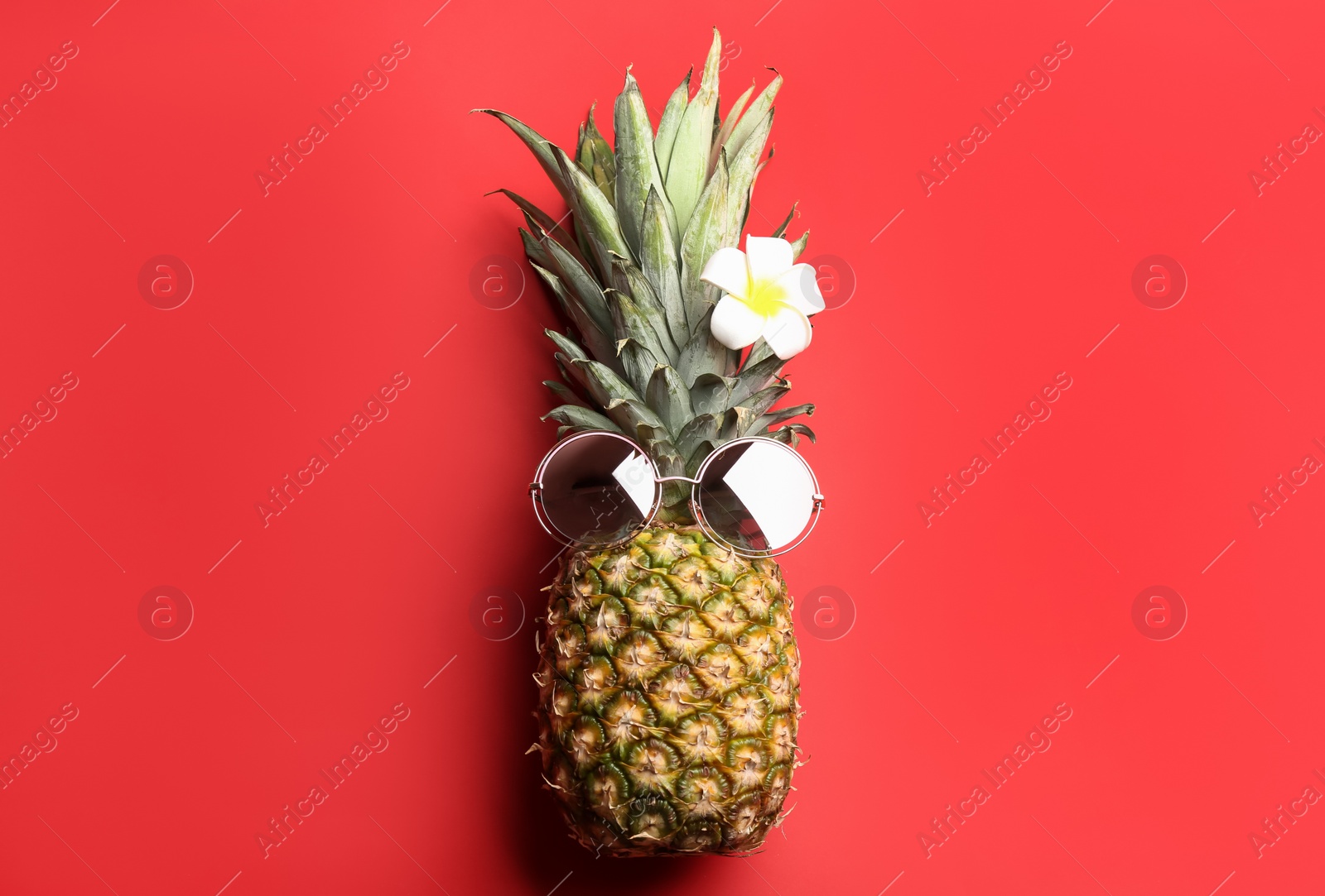 Photo of Pineapple with sunglasses and plumeria flower on red background, top view. Creative concept