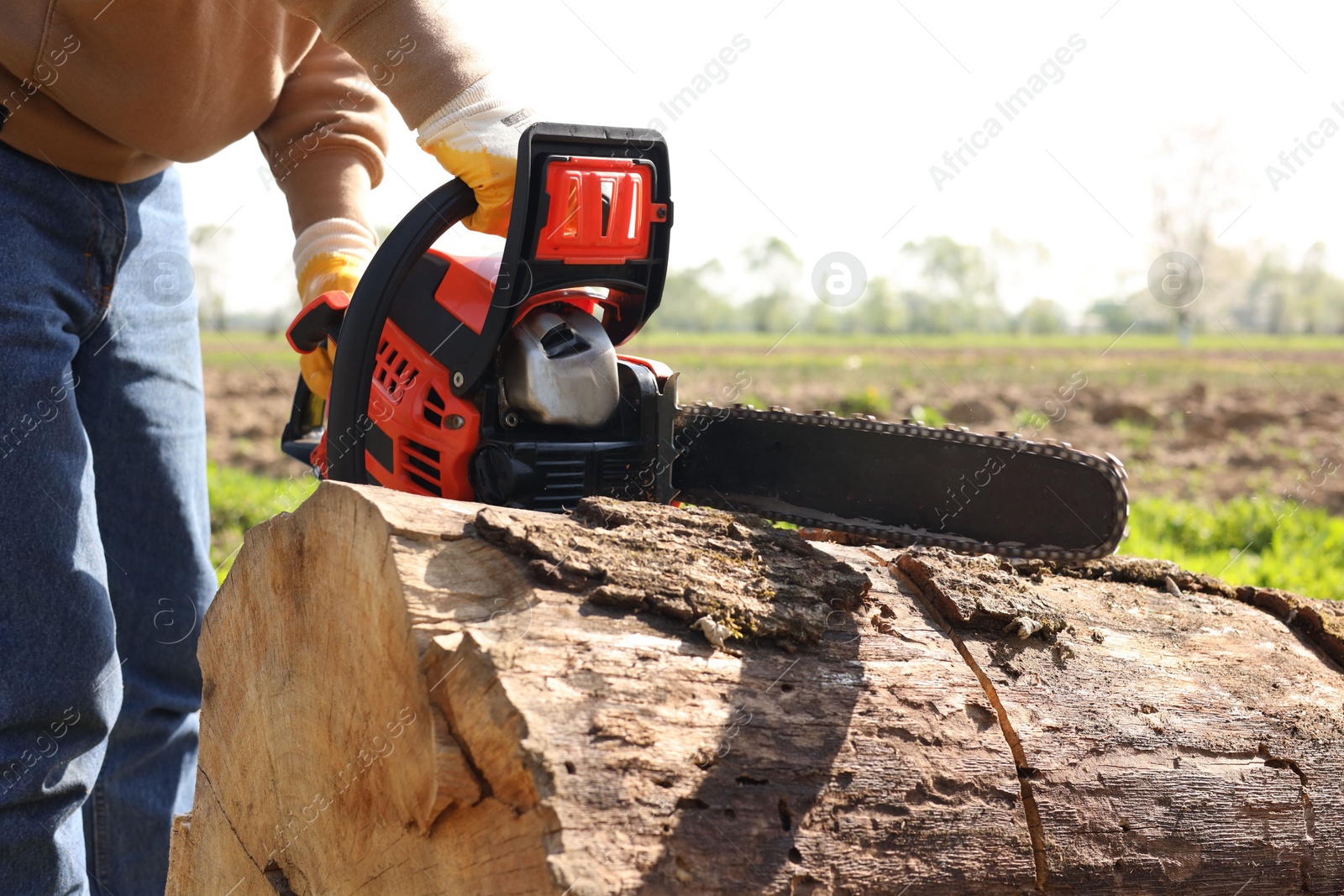 Photo of Man sawing wooden log on sunny day, closeup