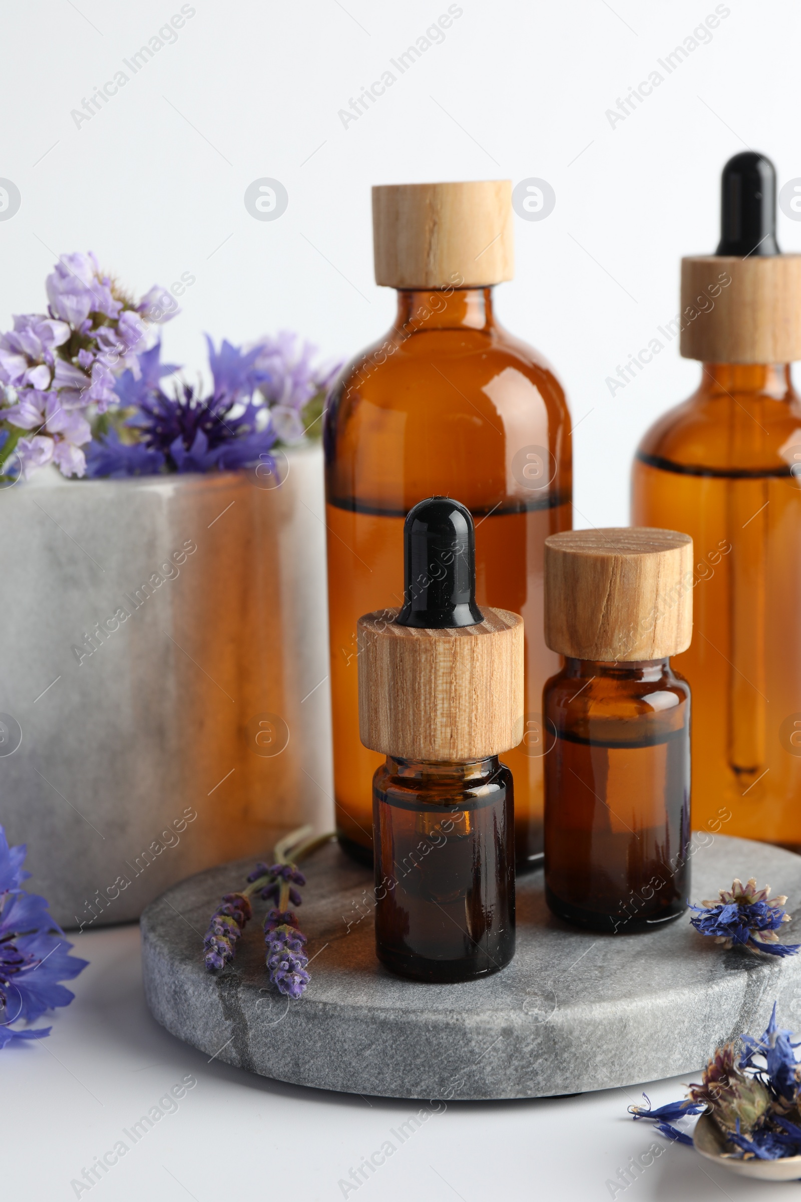 Photo of Aromatherapy. Different essential oils and flowers on white background