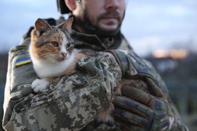 Photo of Ukrainian soldier with stray cat outdoors, closeup