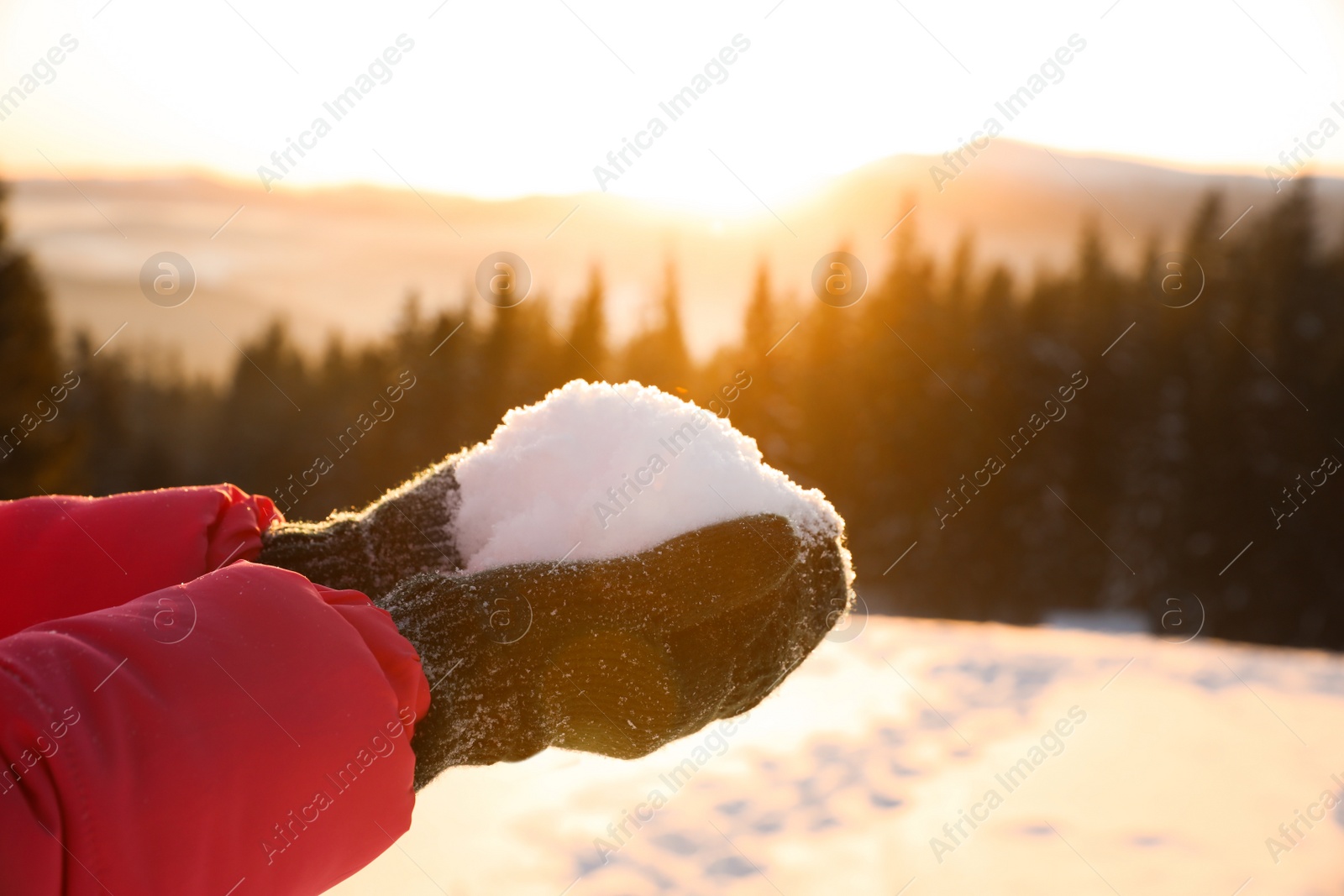 Photo of Woman holding pile of snow outdoors, closeup. Winter vacation