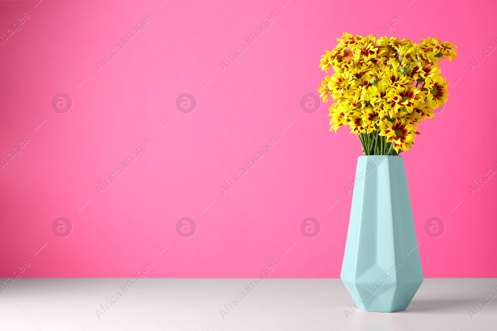 Photo of Vase with beautiful chrysanthemum flowers on white table. Space for text