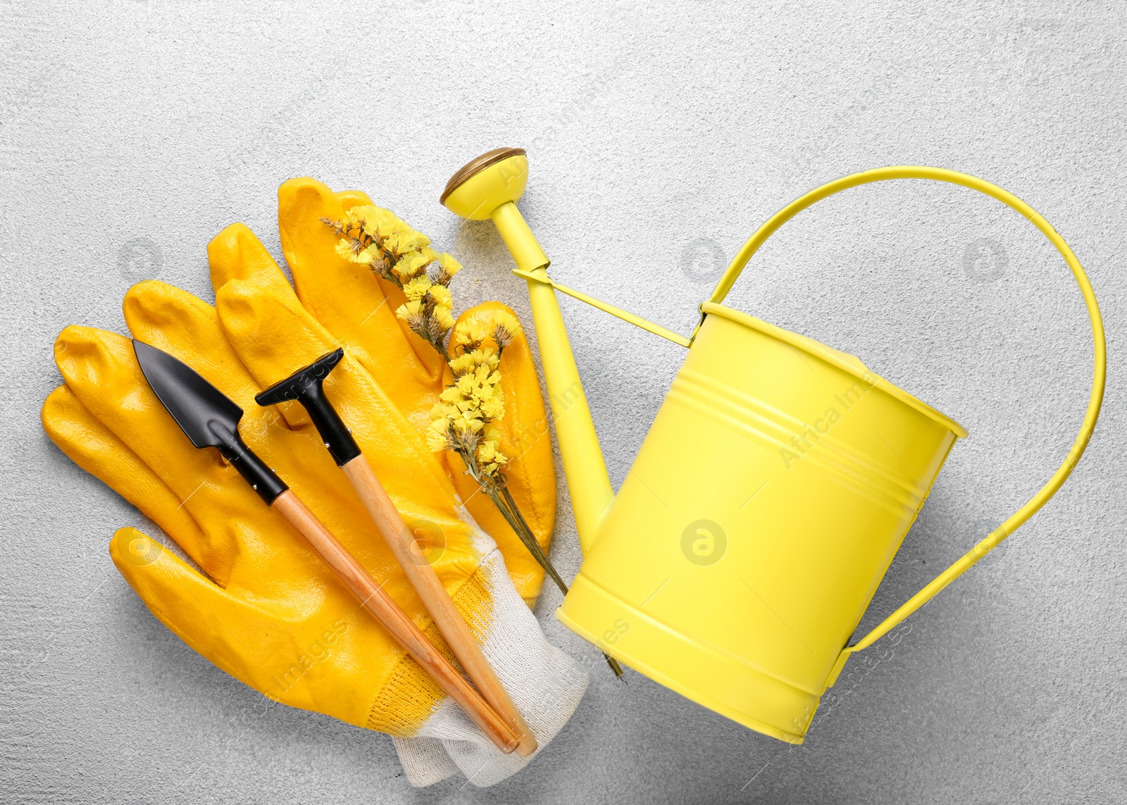 Photo of Watering can, gardening tools and beautiful flower on light grey background, flat lay