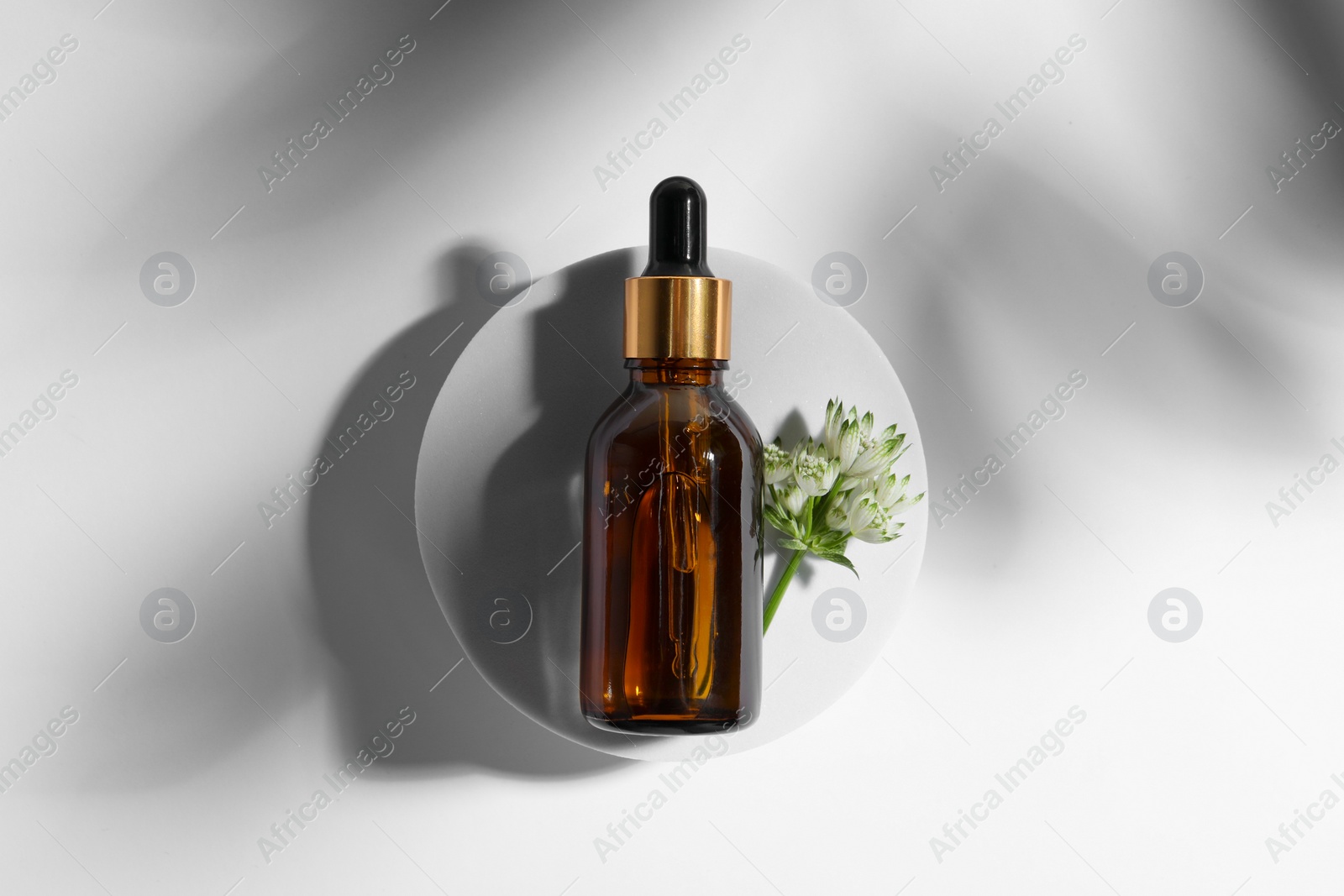 Photo of Bottle of cosmetic oil and flower on white background, top view