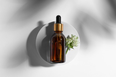Bottle of cosmetic oil and flower on white background, top view