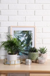 Photo of Beautiful Chamaedorea, Aloe and Haworthia in pots with decor on wooden table near white brick wall. Different house plants