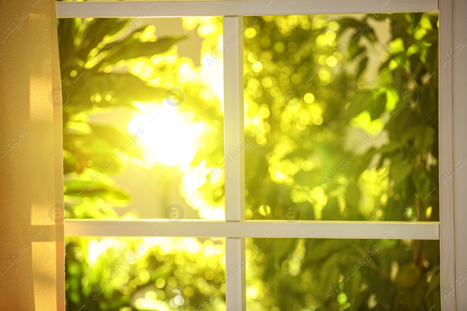 Photo of Beautiful view through window on garden in morning