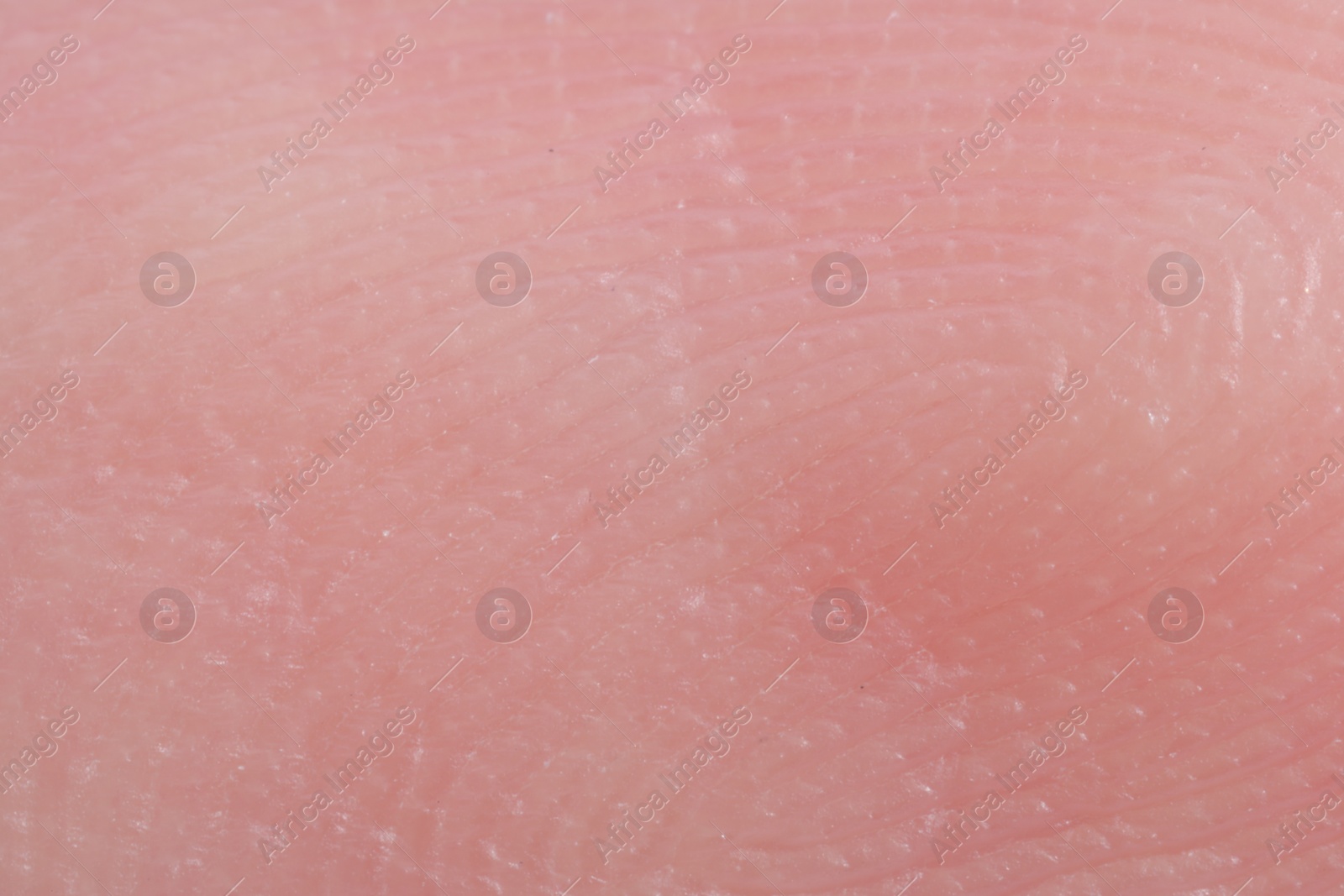 Photo of Friction ridges on finger as background, macro view